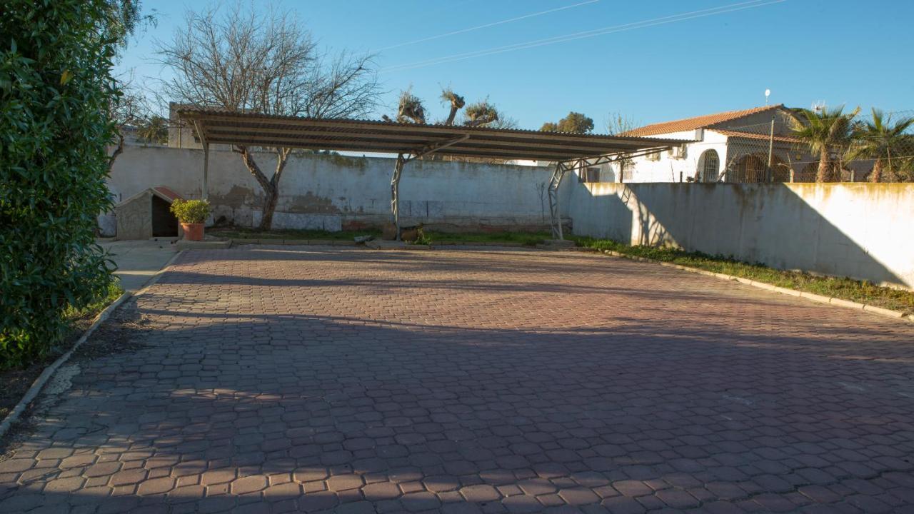 Estudio Adosado Con Jardin Y Parking Privado Аликанте Екстериор снимка
