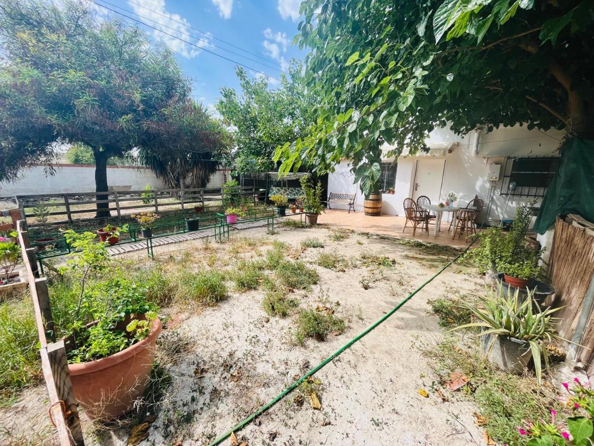 Estudio Adosado Con Jardin Y Parking Privado Аликанте Екстериор снимка